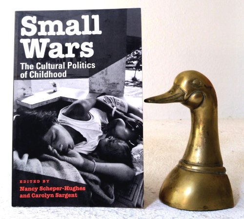 Small Wars: The Cultural Politics of Childhood