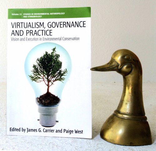 Virtualism, Governance and Practice: Vision and Execution in Environmental Conservation