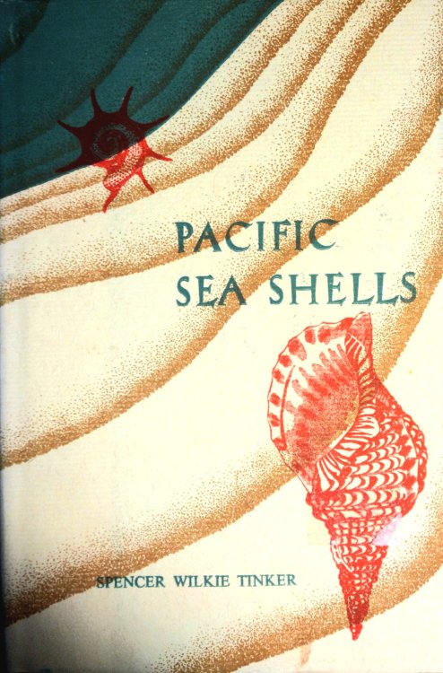 Pacific Sea-Shells