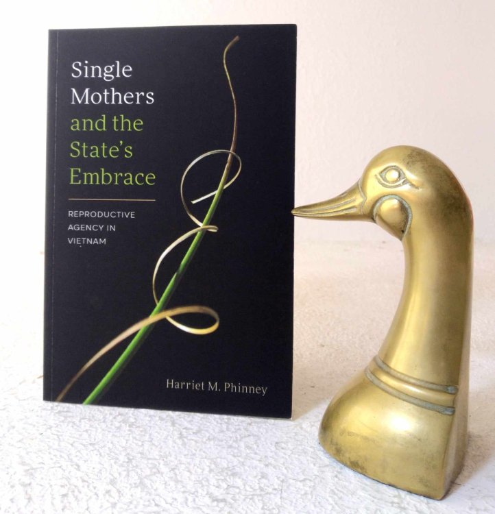 Single Mothers and the State's Embrace: Reproductive Agency in Vietnam