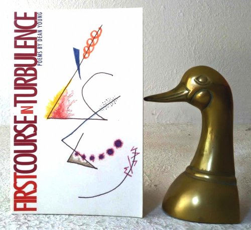 First Course in Turbulanece: poems by Dan Young