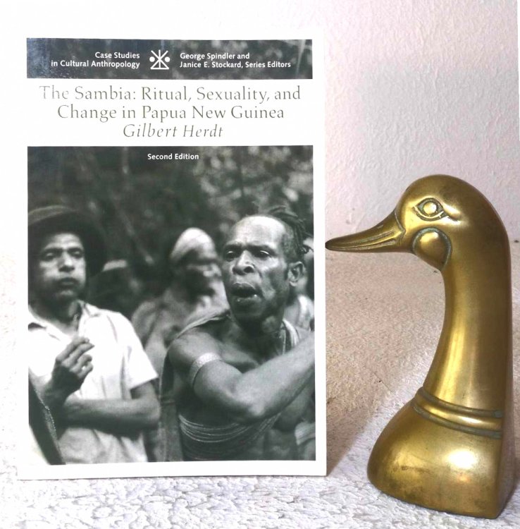 The Sambia: ritual, sexuality, and change in Papua New Guinea
