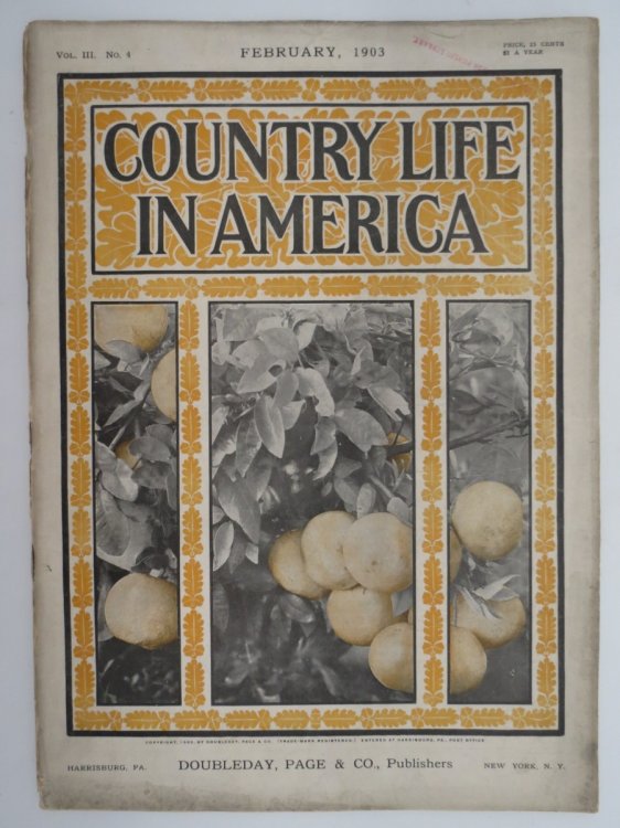 COUNTRY LIFE IN AMERICA MAGAZINE, FEBRUARY 1903