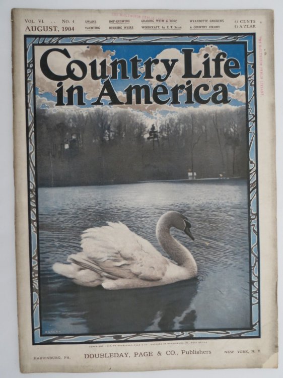 COUNTRY LIFE IN AMERICA MAGAZINE, AUGUST 1904