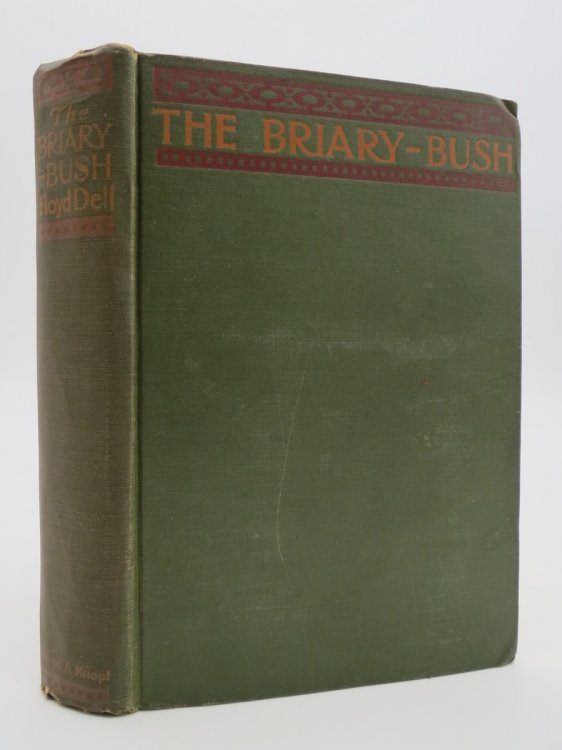 Image for THE BRIARY-BUSH THE BRIARY-BUSH