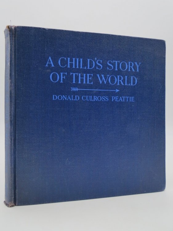 A CHILD'S STORY OF THE WORLD