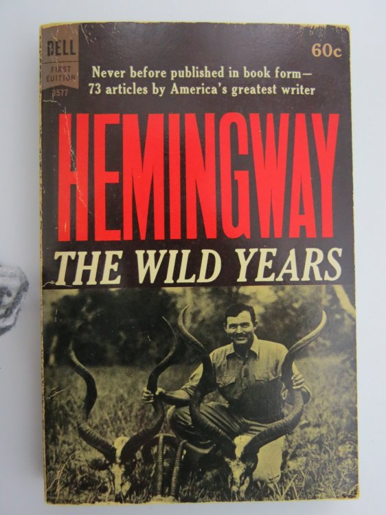 THE WILD YEARS