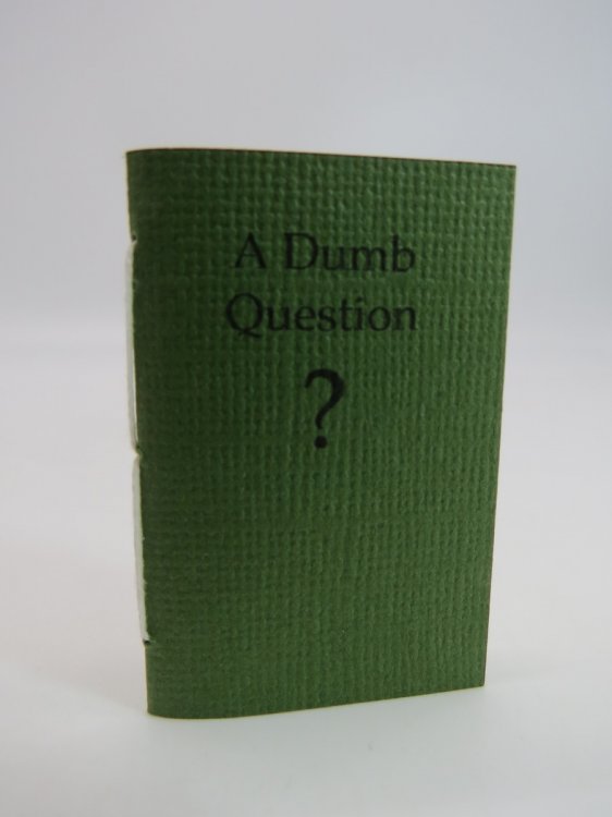 A DUMB QUESTION (MINIATURE BOOK)