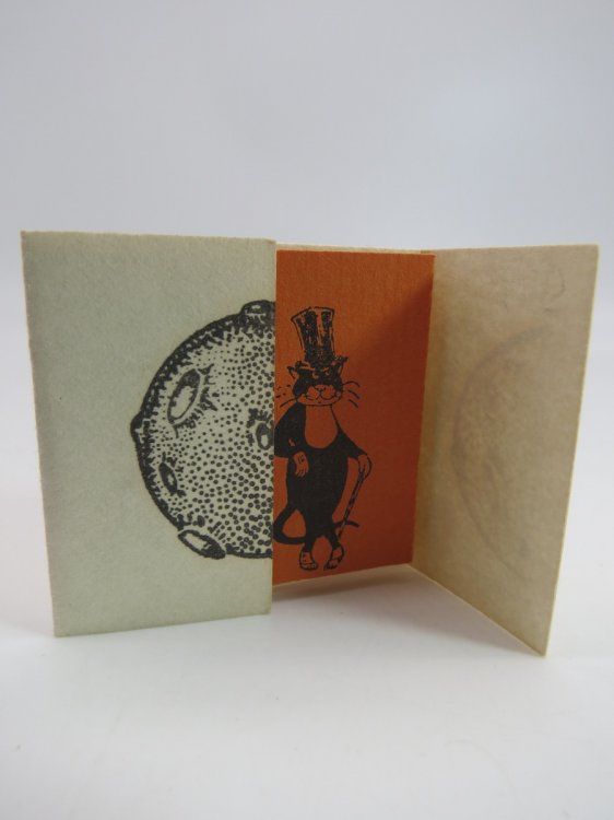 THE MAN IN THE MOON IS A CAT (MINIATURE BOOK) A Lunar Observation