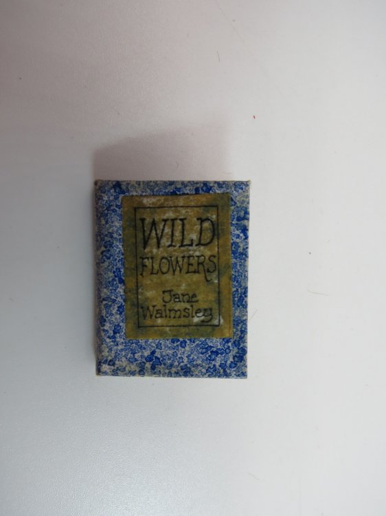 WILD FLOWERS (MINIATURE BOOK)