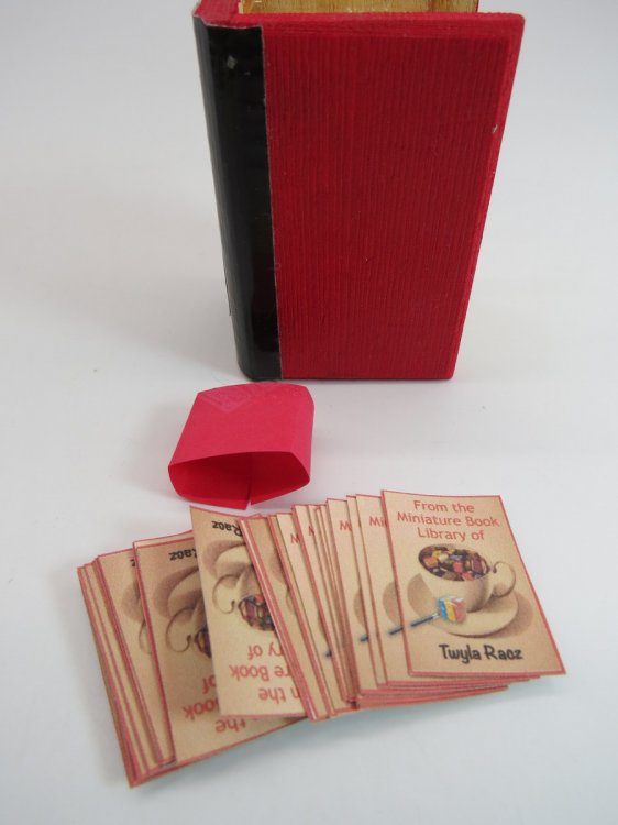 MINIATURE BOOK PLATES BY TWYLA RACZ IN BOX