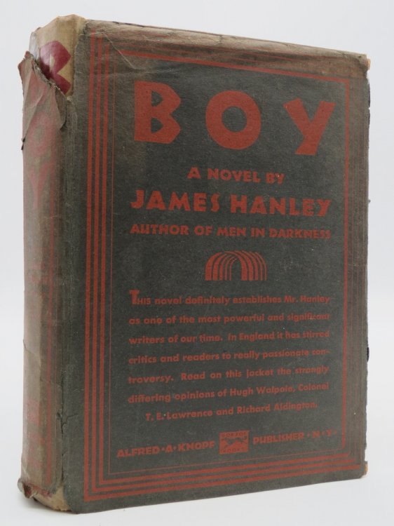 BOY (DJ Protected by a Brand New, Clear, Acid-Free Mylar Cover)