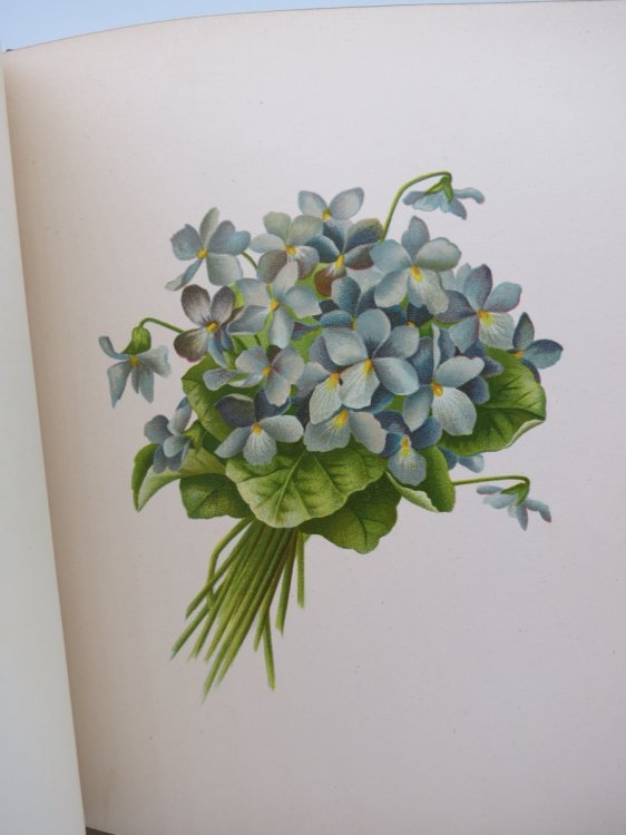 FLOWERS FROM SUNLIGHT AND SHADE (FINE VICTORIAN BINDING) Poems Arranged and Illustrated