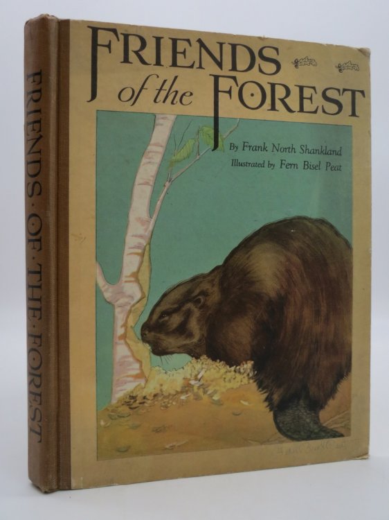 Image for FRIENDS OF THE FOREST FRIENDS OF THE FOREST