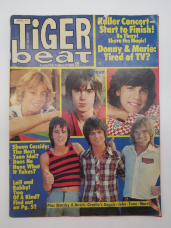 TIGER BEAT MAGAZINE APRIL 1977