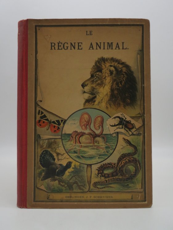 HISTOIRE NATURELLE DES MAMMIFRES 30 Planches Coloriees D'Apres Nature Et Accompagnees D'Un Texte Explicatif En Francais.