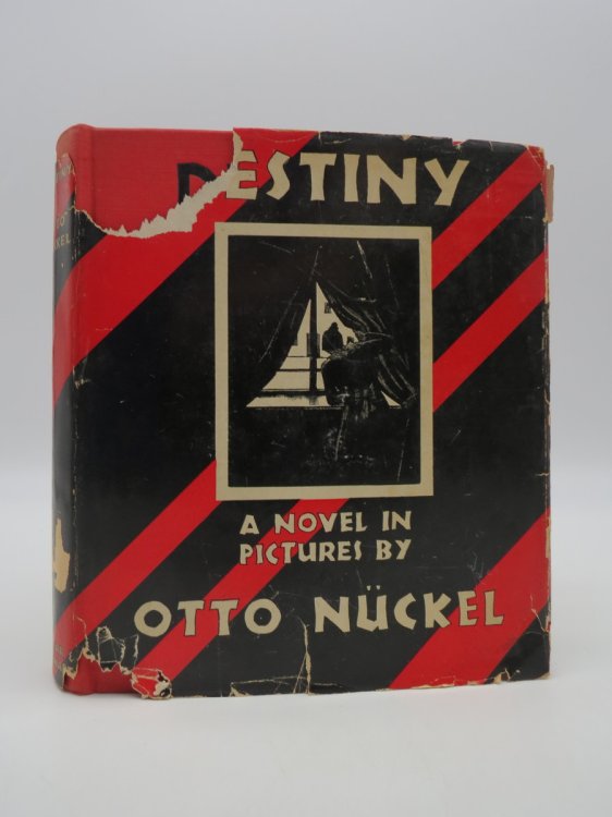 DESTINY A Novel in Pictures (DJ Protected by a Brand New, Clear, Acid-Free Mylar Cover)