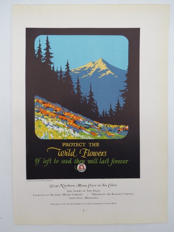 VINTAGE GREAT NORTHERN RAILWAY MENU - PROTECT WILD FLOWERS COLOR PRINT