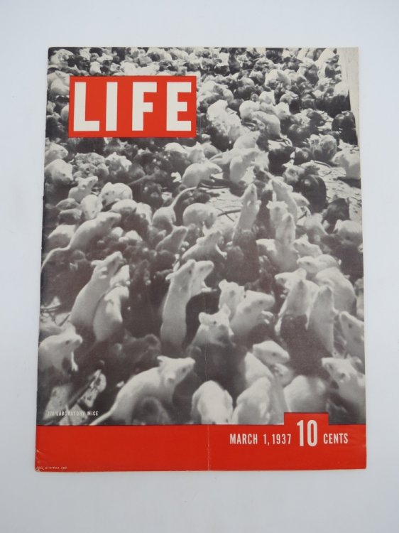LIFE MAGAZINE - MARCH 1, 1937 (LABORATORY MICE COVER)