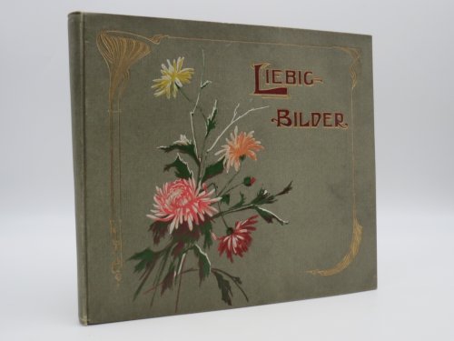 144 LIEBIG'S FLEISH EXTRACT VICTORIAN TRADE CARD SET IN ALBUM