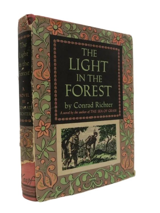 THE LIGHT IN THE FOREST