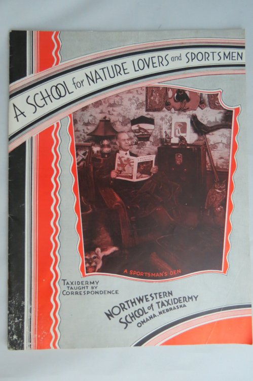 A SCHOOL FOR NATURE LOVERS AND SPORTSMEN Northwestern School of Taxidermy