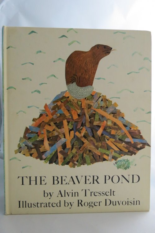 THE BEAVER POND