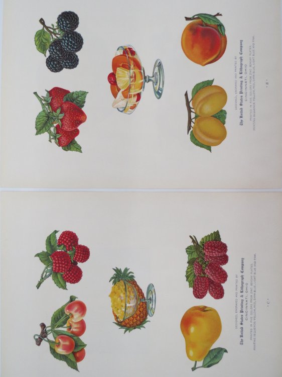 VINTAGE PAIR OF FRUIT LITHOGRAPH COLOR PRINTS