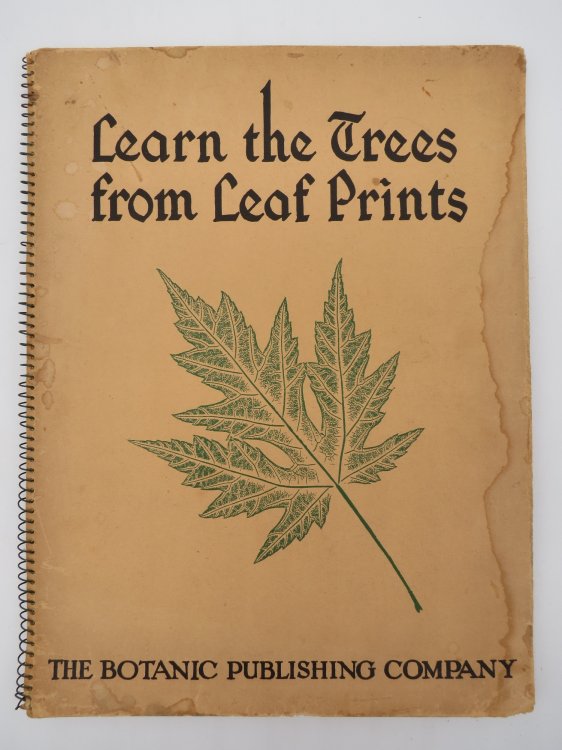 LEARN THE TREES FROM LEAF PRINTS 38 Plates : Prints of the Leaves of 194 Trees