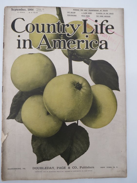COUNTRY LIFE IN AMERICA MAGAZINE, SEPTEMBER 1904 (WINNING THE GOLD CHAMPIONSHIP, HOME ORCHARD)