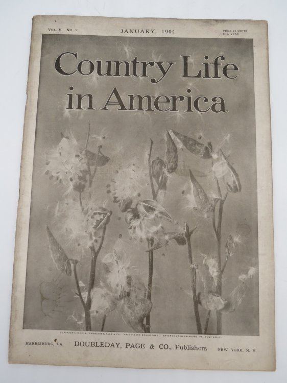 COUNTRY LIFE IN AMERICA MAGAZINE, JANUARY 1904 (IN THE DUCKING BLIND; GROW VIOLETS)