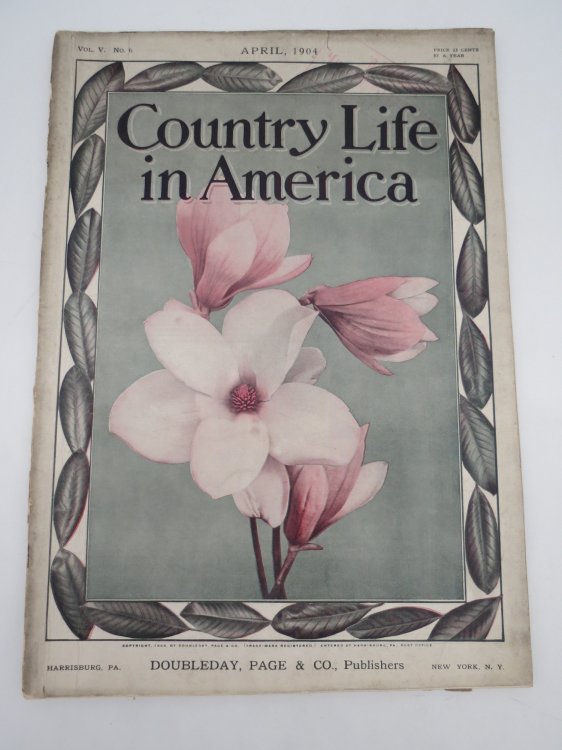 COUNTRY LIFE IN AMERICA MAGAZINE, APRIL 1904 (THE VANISHING BEAVER; MAGNOLIAS)