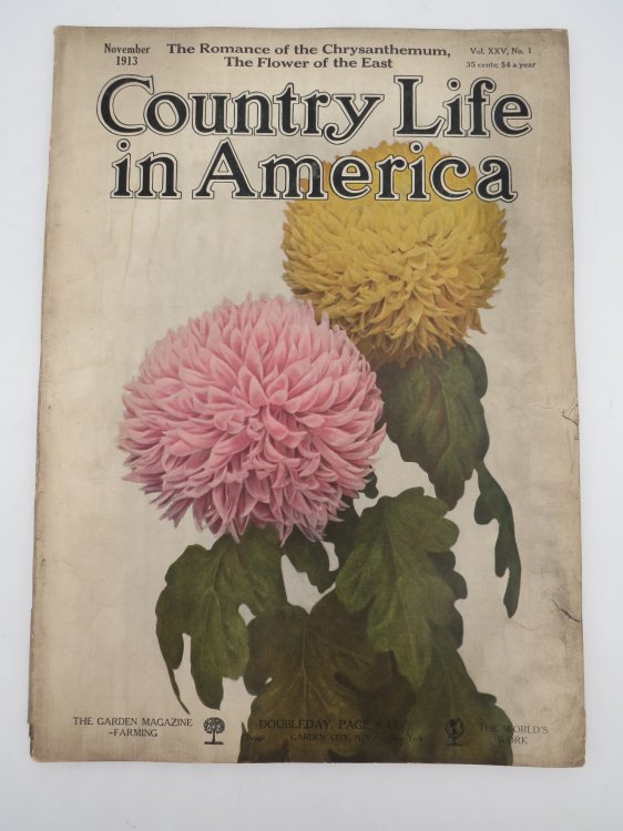 COUNTRY LIFE IN AMERICA MAGAZINE, NOVEMBER 1913 (ROMANCE OF CHRYSANTHEMUM)