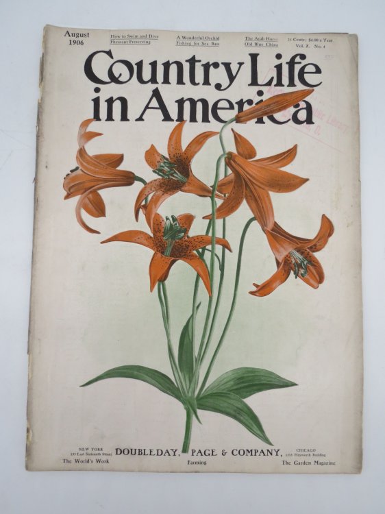 COUNTRY LIFE IN AMERICA MAGAZINE, AUGUST 1906 (THE ARAB HORSE; FISHING FOR SEA BASS; WONDERFUL ORCHID)
