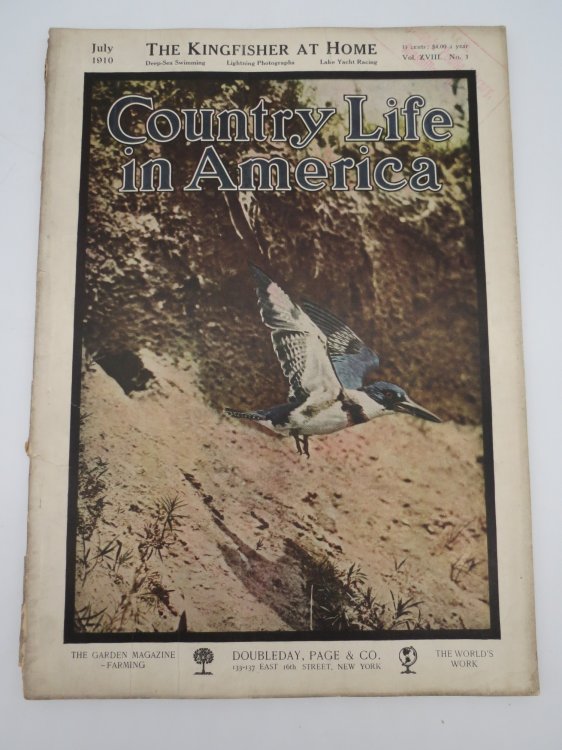 COUNTRY LIFE IN AMERICA MAGAZINE, JULY 1910 (THE KINGFISHER AT HOME)