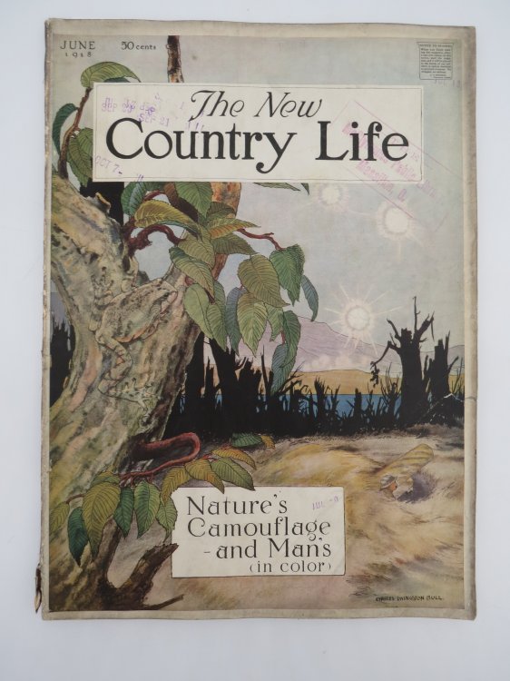 THE NEW COUNTRY LIFE MAGAZINE, JUNE 1918 (NATURE'S CAMOUFLAGE - AND MAN'S, IN COLOR - CHARLES LIVINGSTON BULL)