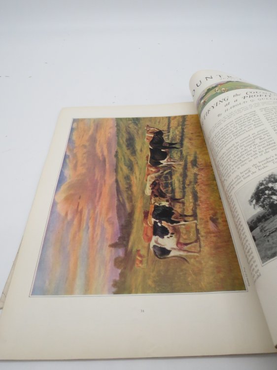 COUNTRY LIFE MAGAZINE, JULY 1923 (COWS)