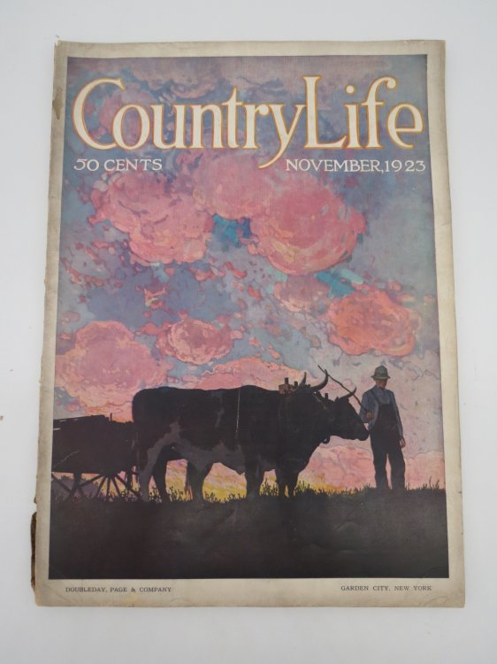 COUNTRY LIFE MAGAZINE, NOVEMBER 1923 (UPLAND BIRDS OF CAPE COD)