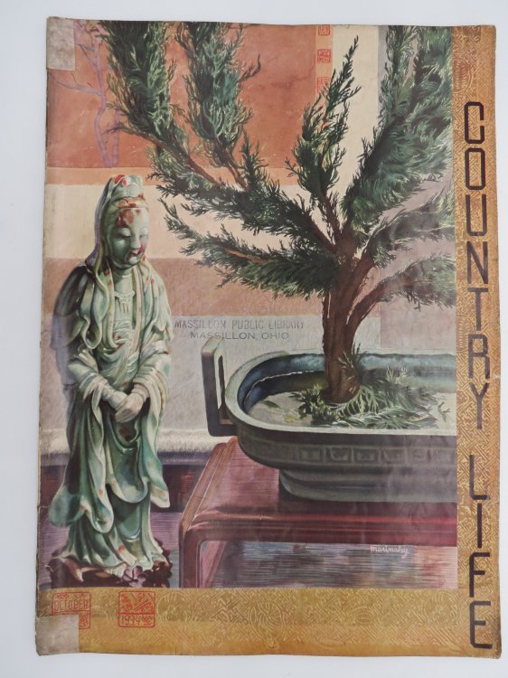 COUNTRY LIFE MAGAZINE, OCTOBER 1934 (NEW ZEALAND COLOR AD)