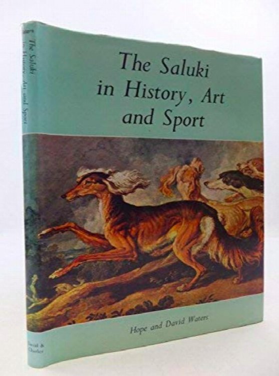 The Saluki in History, Art, and Sport