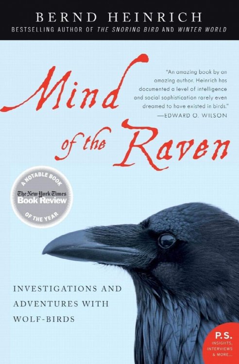 The Mind of the Raven