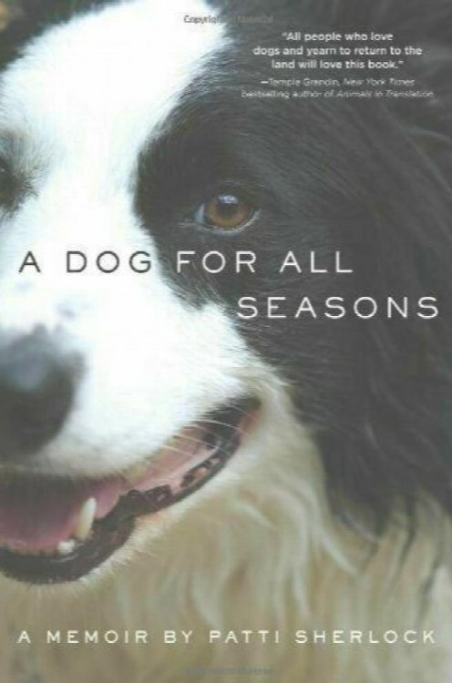 A Dog For All Seasons