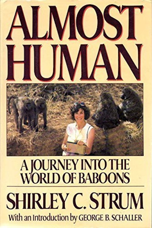 Almost Human: A Journey Into The World of Baboons