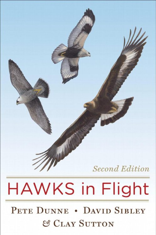 Hawks In Flight, 2nd Edition