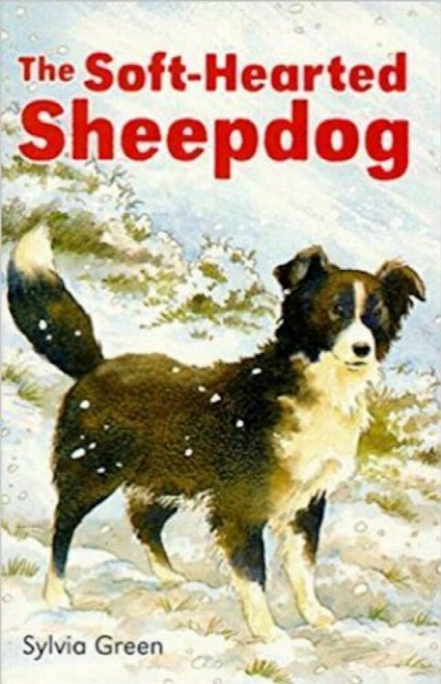 The Soft-Hearted Sheepdog