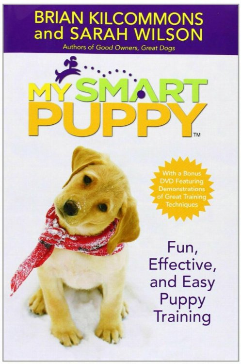My Smart Puppy