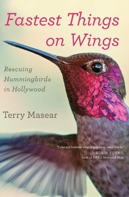 Fastest Things on Wings: Rescuing Humminbirds