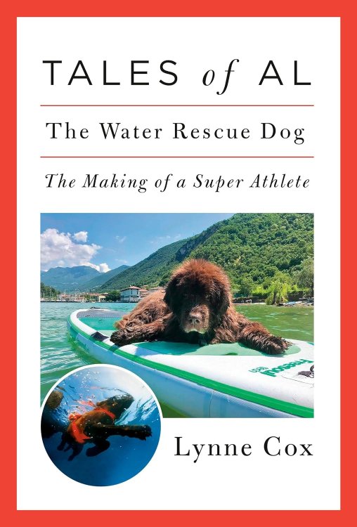 Tales of Al: The Water Rescue Dog