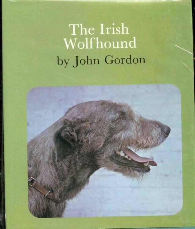The Irish Wolfhound