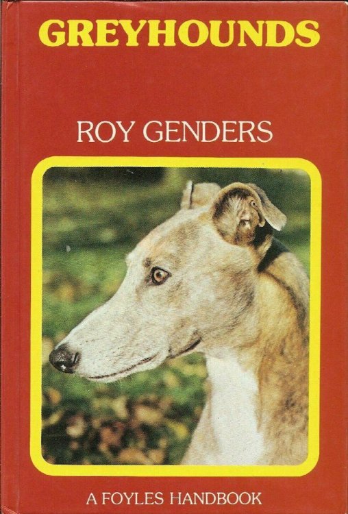 Greyhounds